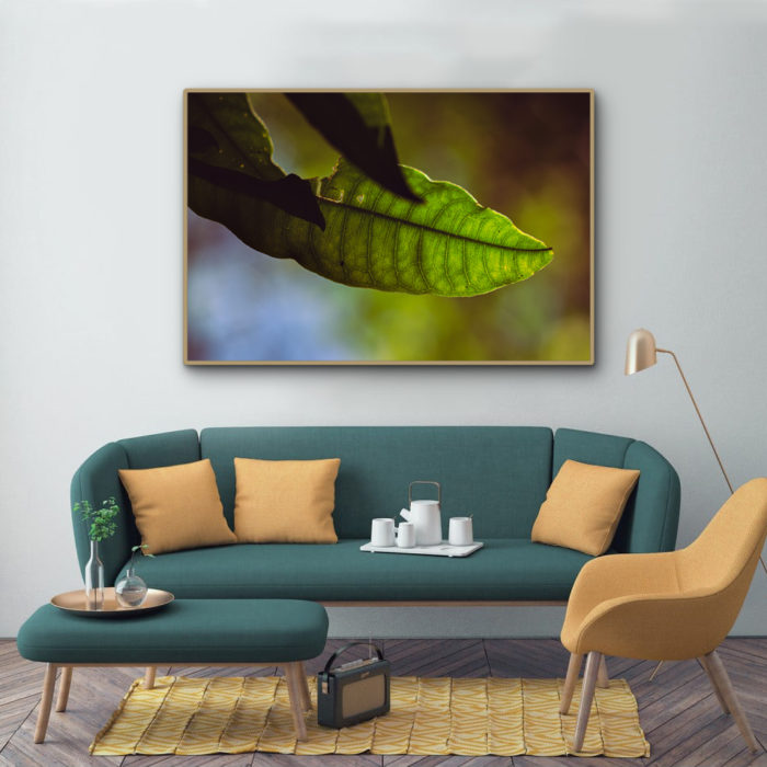 quadro prana, quadro Rio de Janeiro, seu quadro, fine art, quadro fine art, quadro de decoração, quadro para sala, quadro para casa, quadro para o quarto, quadro decorativo