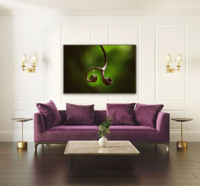 quadro talismã, quadro Rio de Janeiro, seu quadro, fine art, quadro fine art, quadro de decoração, quadro para sala, quadro para casa, quadro para o quarto, quadro decorativo