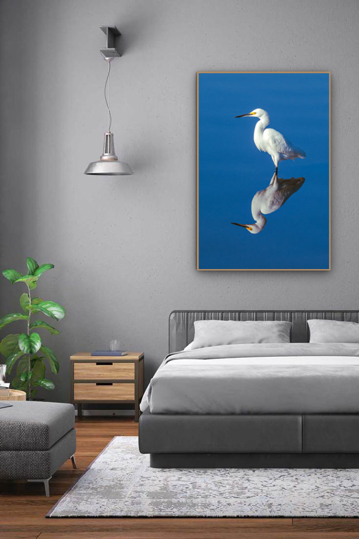 quadro garça branca, graça branca, quadro heron, quadro Rio de Janeiro, seu quadro, fine art, quadro fine art, quadro de decoração, quadro para sala, quadro para casa, quadro para o quarto, quadro decorativo