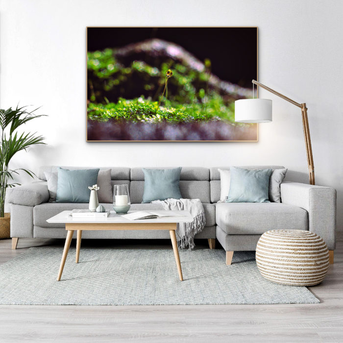 quadro semente da vida, quadro Rio de Janeiro, seu quadro, fine art, quadro fine art, quadro de decoração, quadro para sala, quadro para casa, quadro para o quarto, quadro decorativo