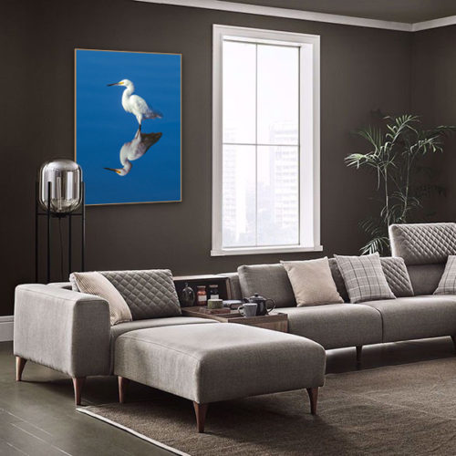 quadro garça branca, graça branca, quadro heron, quadro Rio de Janeiro, seu quadro, fine art, quadro fine art, quadro de decoração, quadro para sala, quadro para casa, quadro para o quarto, quadro decorativo